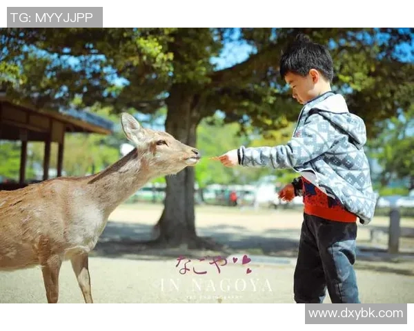 足球球星小鹿的故乡在哪里他的成长背景和成就揭秘